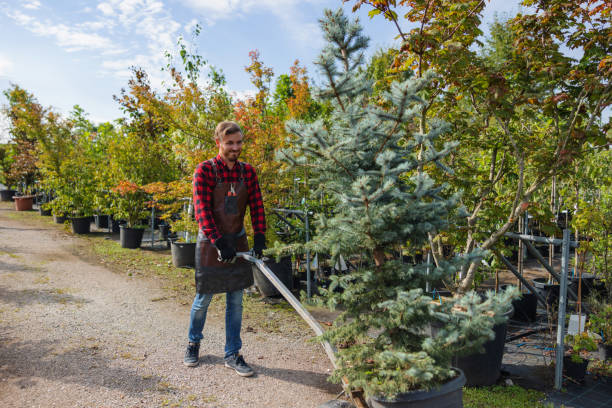 Leaf Removal Services in Towaco, NJ